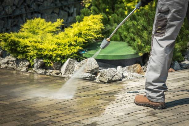Best Dumpster Area Cleaning  in Coal Valley, IL